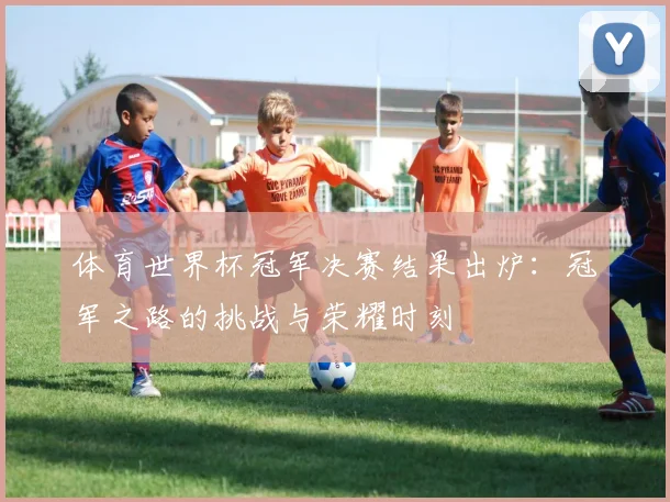体育世界杯冠军决赛结果出炉：冠军之路的挑战与荣耀时刻
